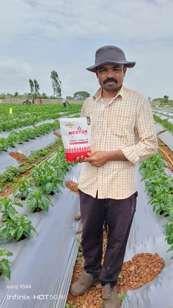 Fertilizer Result