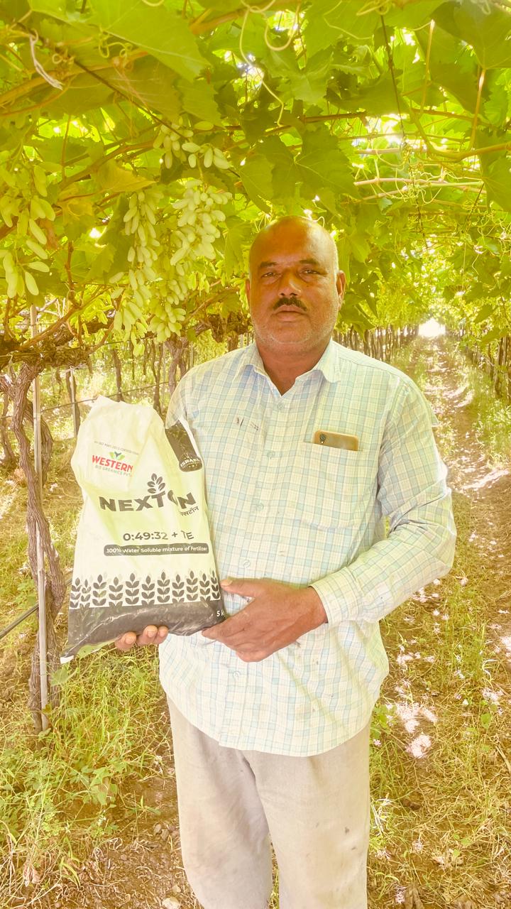 Fertilizer Result