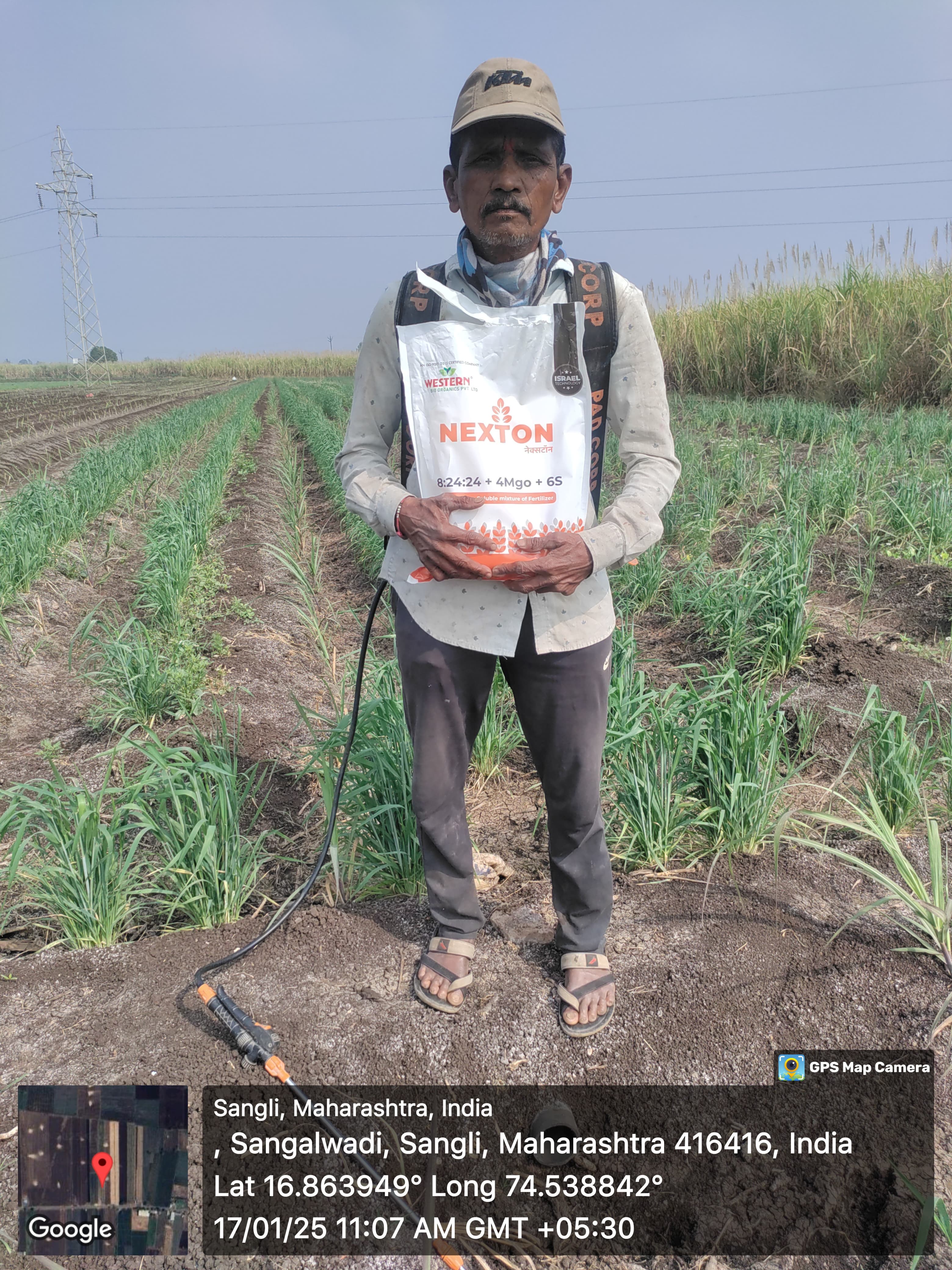 Fertilizer Result